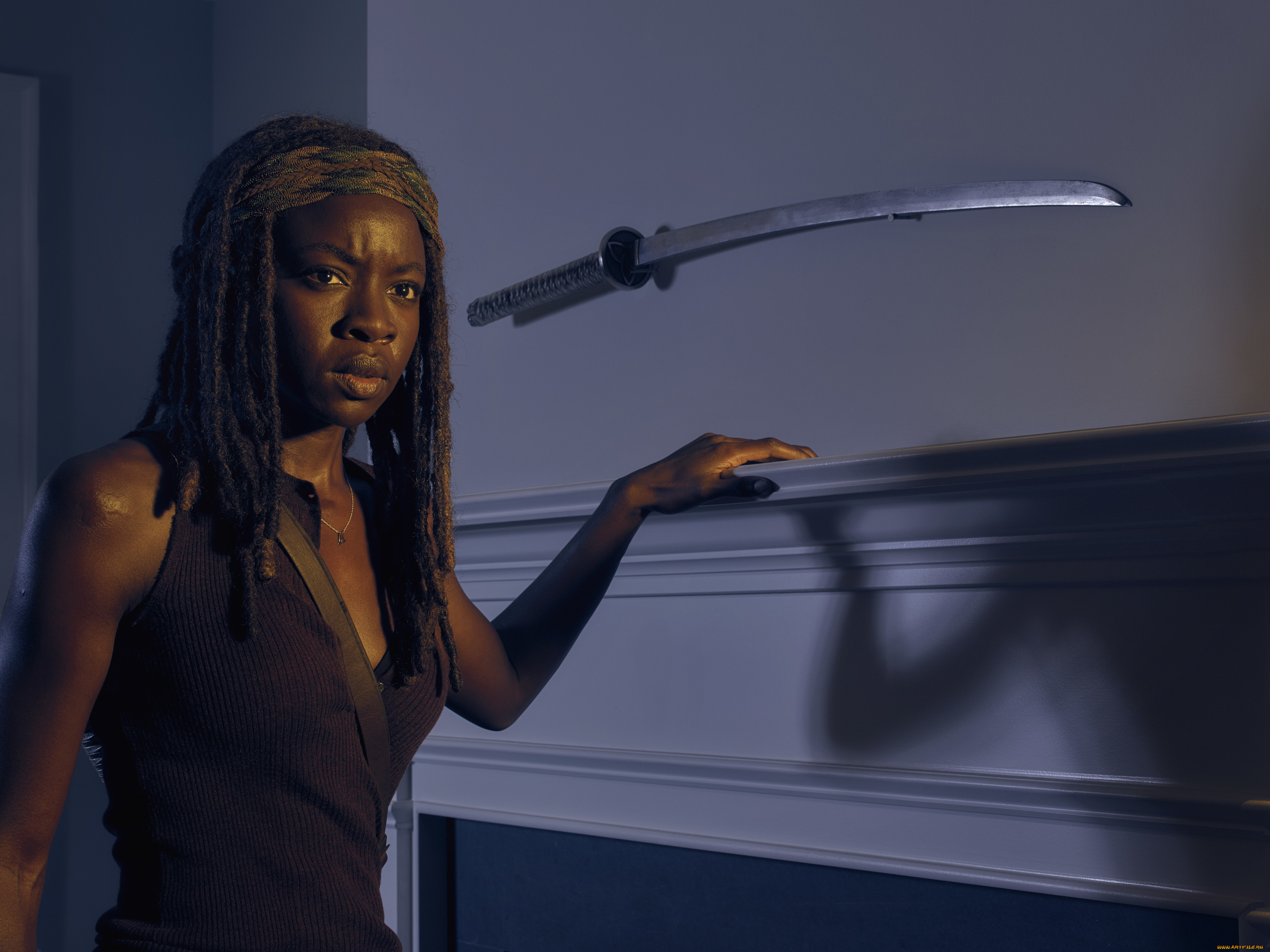  , the walking dead, , action, , horror, , , the, walking, dead